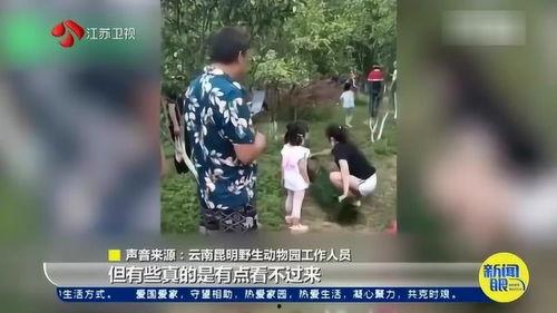 南京游客爆料视频最新版,揭秘古都新发现与争议瞬间 第2张 南京游客爆料视频最新版,揭秘古都新发现与争议瞬间 第2张