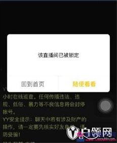 爆哥爆料视频网站下载,视频网站下载攻略，轻松获取热门视频！