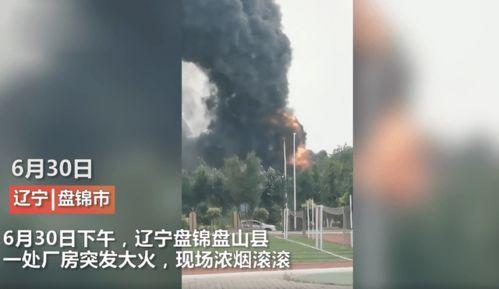 辽宁最新爆料新闻事件,神秘事件引发社会关注 第3张 辽宁最新爆料新闻事件,神秘事件引发社会关注 第3张