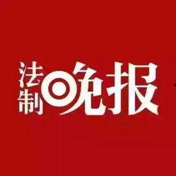 小七最新爆料新闻,最新爆料新闻背后的惊人真相 第2张 小七最新爆料新闻,最新爆料新闻背后的惊人真相 第2张