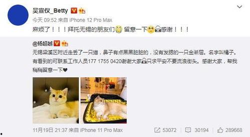 北猫叔叔爆料微博视频在线观看,带你一探究竟