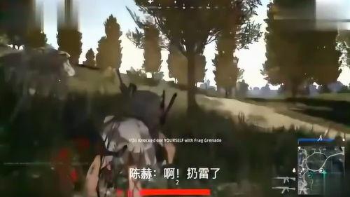 陈赫鹿晗爆料视频,娱乐圈幕后真相大曝光