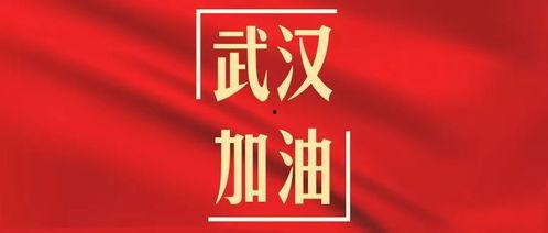 武汉加油最新爆料,抗疫英雄再创辉煌——最新爆料揭秘! 第2张 武汉加油最新爆料,抗疫英雄再创辉煌——最新爆料揭秘! 第2张