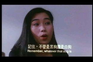 中港丽人在线观看,一场视觉与情感的盛宴 第2张 中港丽人在线观看,一场视觉与情感的盛宴 第2张