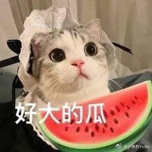 网红在线吃瓜意义,网红在线吃瓜现象解析 第2张 网红在线吃瓜意义,网红在线吃瓜现象解析 第2张