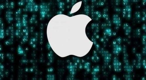 苹果代工厂最新爆料,揭秘iPhone 15生产细节与潜在变革 第3张 苹果代工厂最新爆料,揭秘iPhone 15生产细节与潜在变革 第3张