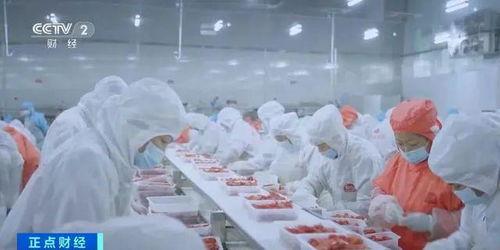 湖北一工厂爆料新闻,揭秘背后惊人真相！  第3张