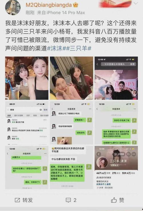 三只羊最新爆料视频大全,揭秘幕后真相与精彩瞬间