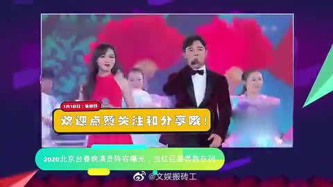 春晚演员爆料大全最新版,揭秘幕后故事与精彩瞬间 第2张 春晚演员爆料大全最新版,揭秘幕后故事与精彩瞬间 第2张