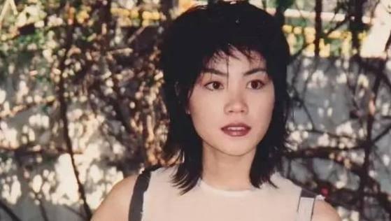 台湾爆料王菲事件视频,真相与争议的交织 第2张 台湾爆料王菲事件视频,真相与争议的交织 第2张