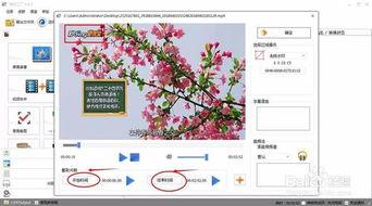 水印视频爆料怎么弄的,轻松掌握视频水印添加方法