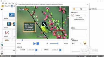 水印视频爆料怎么弄的,轻松掌握视频水印添加方法 第2张 水印视频爆料怎么弄的,轻松掌握视频水印添加方法 第2张