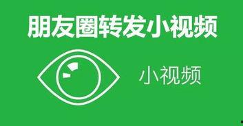 绿茶爆料小故事视频,揭秘小故事背后的精彩瞬间  第3张