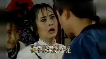 梅花烙在线观看,穿越时空的浪漫传奇，在线重温经典