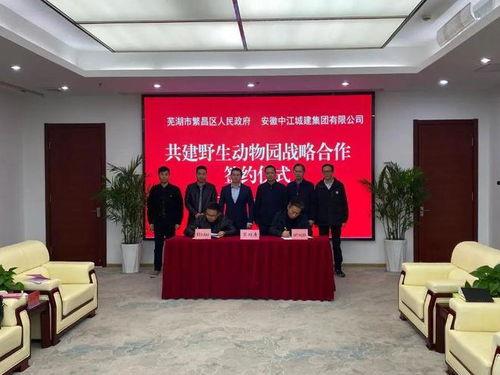 芜湖新闻大爆料电话,倾听市民心声，传递社会脉动  第3张