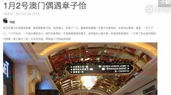 澳门最新爆料信息网,揭秘岛城风云，独家资讯一网打尽  第2张