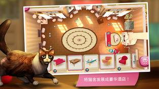 娱乐吃瓜君猫咪,揭秘娱乐圈的喵星人趣事  第3张