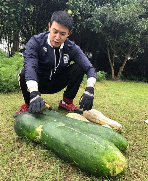 任县新瓜最新爆料,揭秘任县最新热点事件背后的真相 第3张 任县新瓜最新爆料,揭秘任县最新热点事件背后的真相 第3张