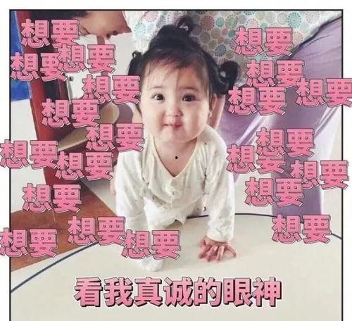 追星吃瓜小能手小说免费阅读,吃瓜小能手逆袭记