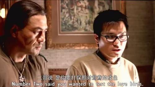 二哥男人在线观看,在线观看，揭秘现代都市男性情感世界  第3张