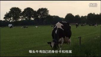 牧场在线观看,云端牧歌,尽享田园风光 第2张 牧场在线观看,云端牧歌,尽享田园风光 第2张