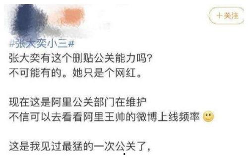 网红ceo吃瓜结果,揭秘幕后真相与行业反思  第2张
