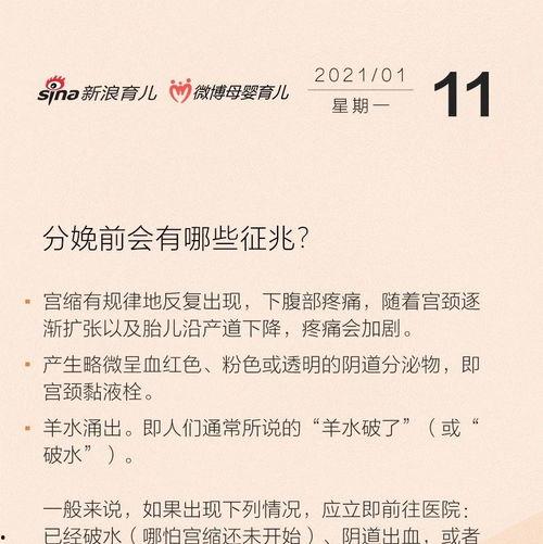 最新散兵爆料图片高清视频,高清图片与视频揭秘神秘角色与技能  第3张