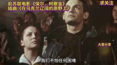电影原野在线观看,探寻人性的幽深与命运的纠葛  第3张