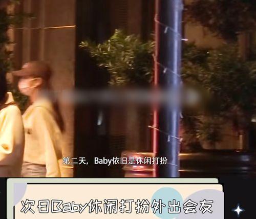 成毅狗仔爆料钓鱼事件视频,视频揭露娱乐圈幕后真相  第2张