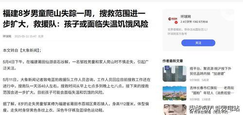失踪男孩最新爆料新闻,揭秘神秘爆料背后的真相  第2张