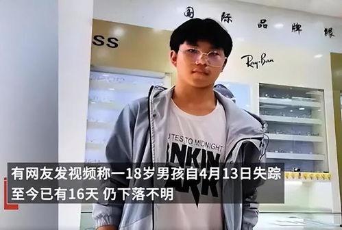 失踪男孩最新爆料新闻,揭秘神秘爆料背后的真相  第3张