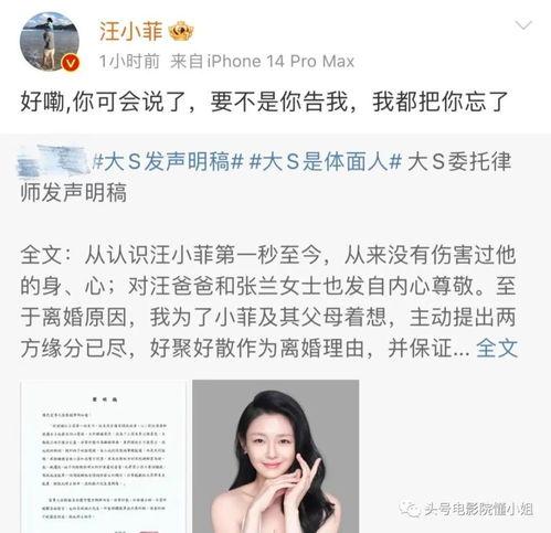 娱乐圈吃瓜爆料汪小菲,揭秘豪门背后的吃瓜真相  第2张