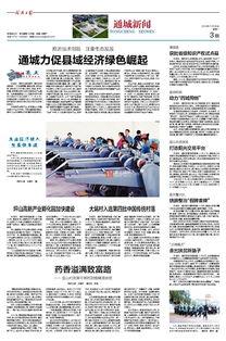 咸宁通城县新闻爆料,村民发现古墓群，专家现场考古调查