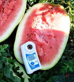 网红最新的瓜爆料,娱乐圈最新劲爆事件大揭秘！