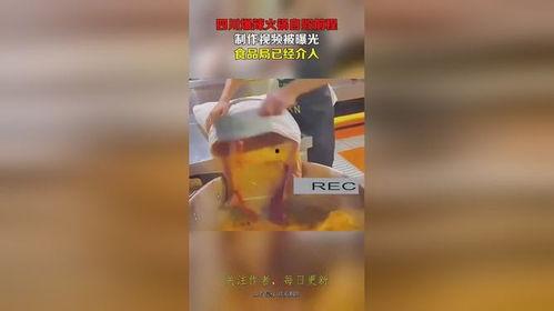 食品被爆料的视频大全  第2张