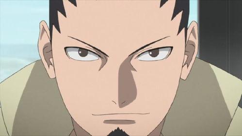 忍界鹿丸爆料视频,鹿丸揭秘忍界秘闻  第2张