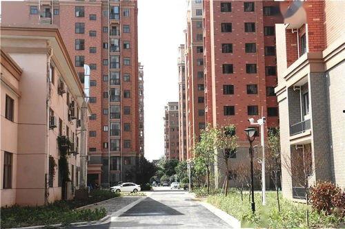 岱山银河湾小区最新爆料,揭秘神秘项目与周边发展动态  第3张