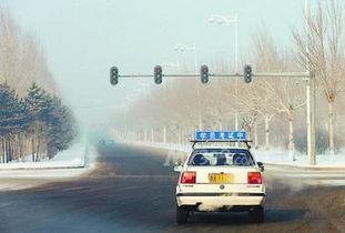 龙东科目三爆料事件视频,揭秘驾考黑幕与真实考试现场  第3张