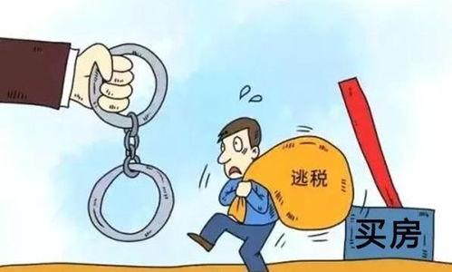 独家爆料逃税案例视频讲解,逃税案例视频深度解析