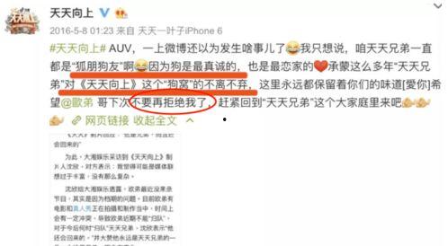 娱乐圈爆料投稿网站,揭秘明星幕后故事，独家爆料一网打尽！