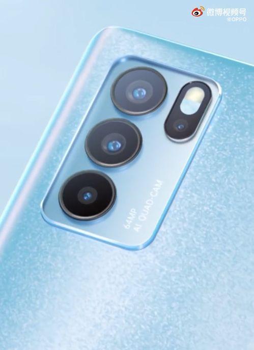 爆料李仙仙被骂视频播放