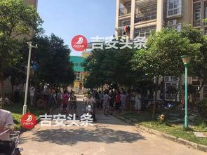 阳光新城最新爆料信息,揭秘神秘项目，未来城市生活新篇章  第2张