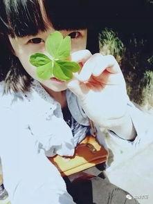 吃瓜网红张子凡,吃瓜网红的瓜田奇遇记