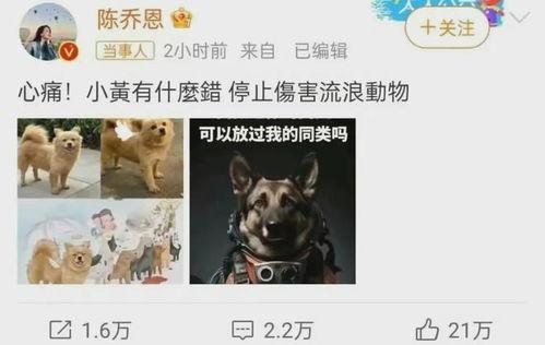 二狗爆料谢航视频大全最新,谢航视频大全背后的惊人真相  第2张