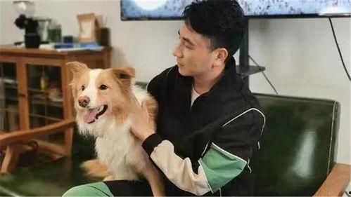 二狗爆料谢航视频大全最新,谢航视频大全背后的惊人真相  第3张