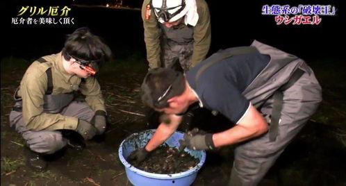 牛哥最新爆料新闻视频播放,最新爆料新闻视频幕后真相大起底