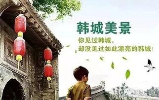 韩城真实爆料视频大全,真实爆料视频大盘点