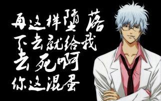 银魂在线观看329,在线观看之旅，第329集精彩回顾  第2张