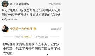 卓伟爆料的鹿晗是谁啊视频,揭秘鹿晗身份之谜  第3张