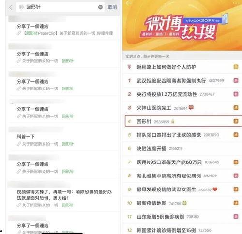 知识类爆料视频怎么做的,内容策划与传播策略全解析